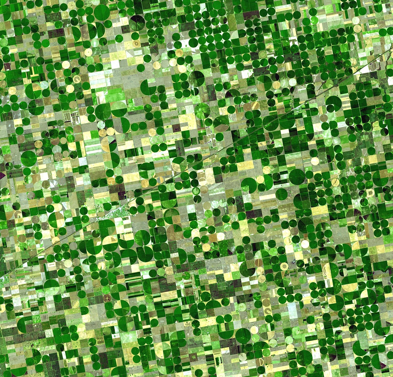 agriculture satellite field